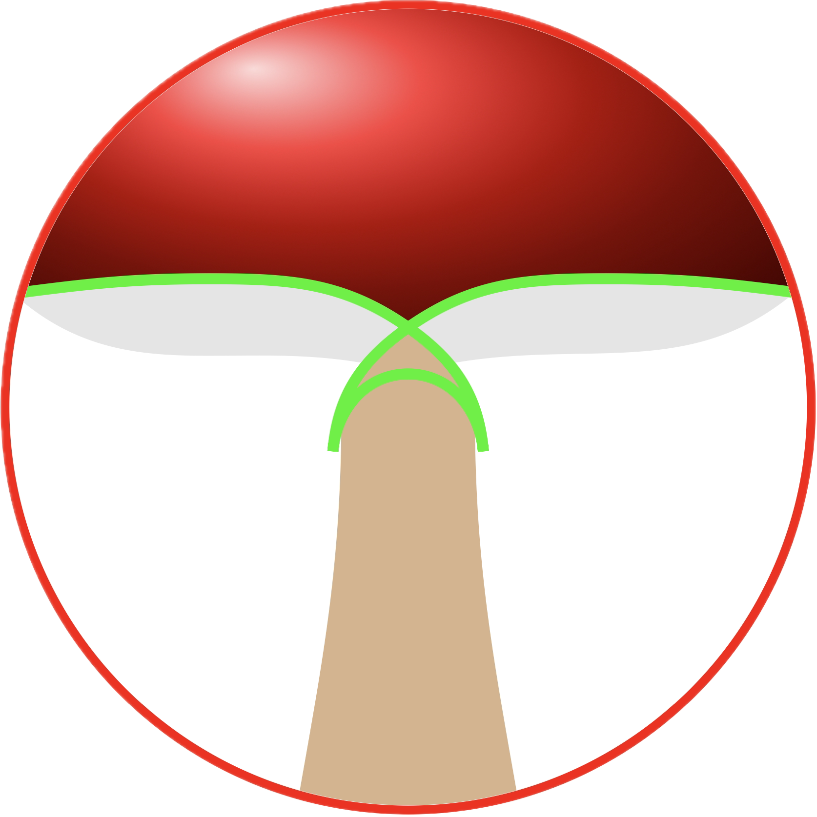 Pilze im Erzgebirge